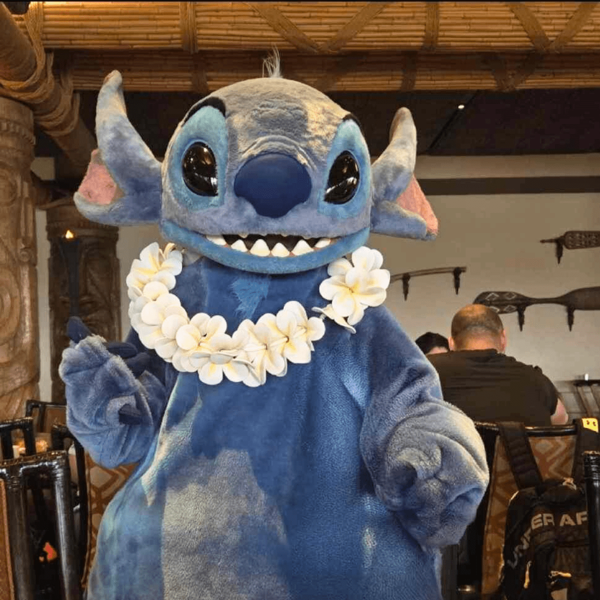 Character Dining at Walt Disney World