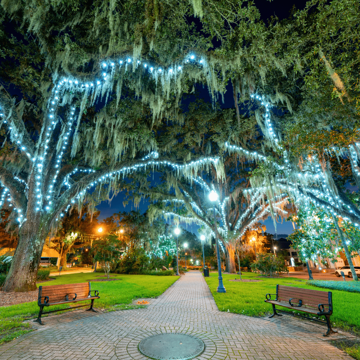 Tallahassee Festivals 