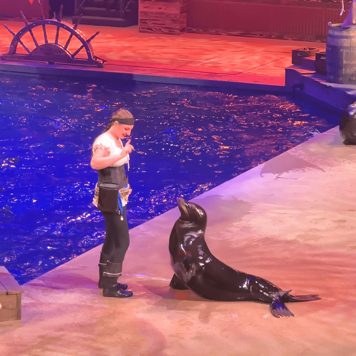 Pirates Voyage Panama City Beach