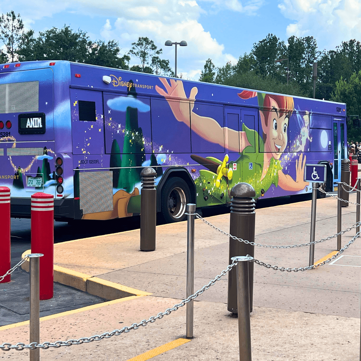 Disney Bus Transportation