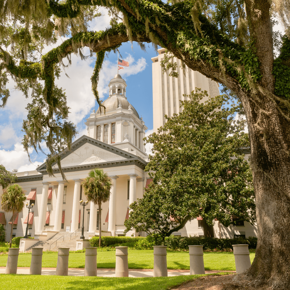 October Bucket List Tallahassee 