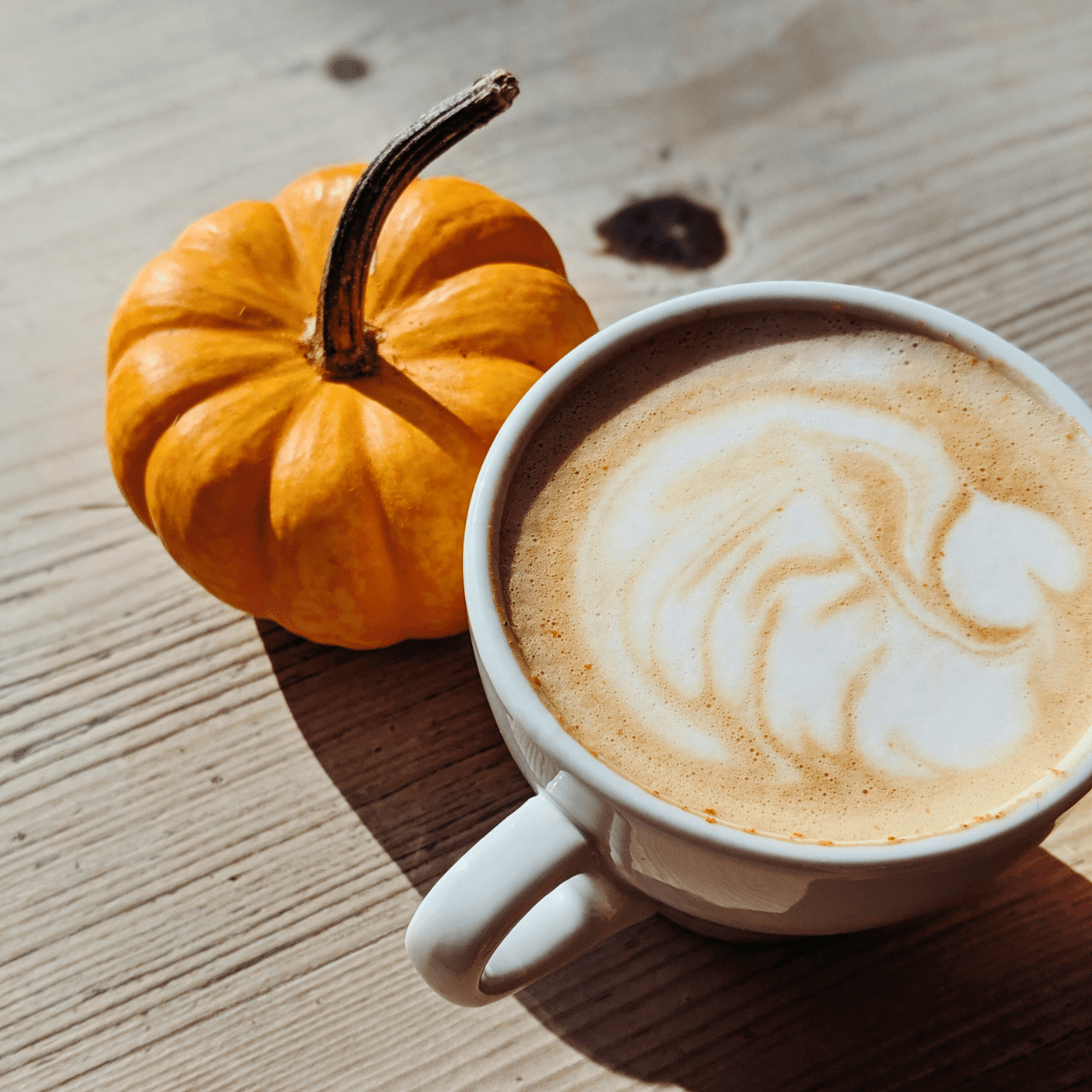 October Bucket List Tallahassee 