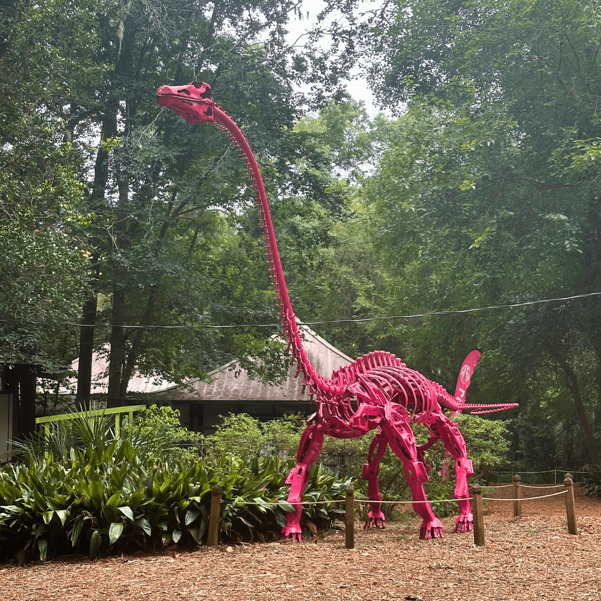 October Bucket List Tallahassee 