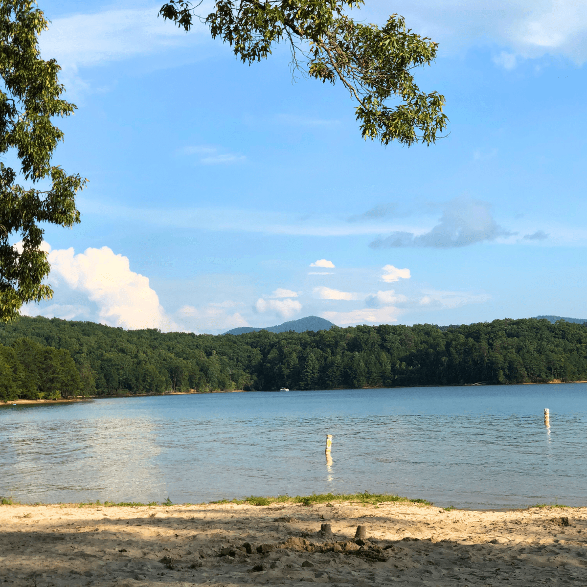 Cabin Trip from Tallahassee Lake Blue Ridge Georgia