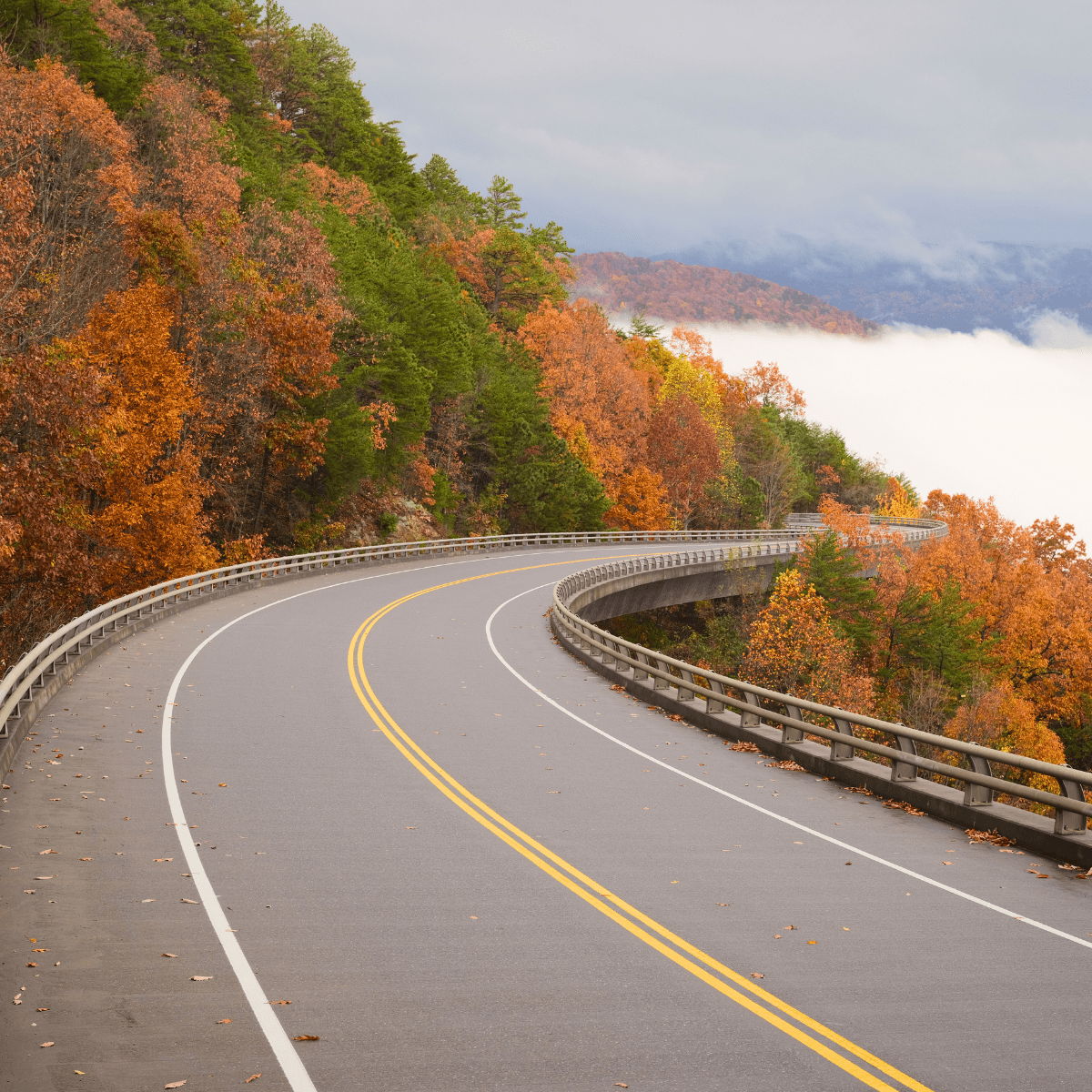 Cabin Trip from Tallahassee Great Smoky Mountain National Park