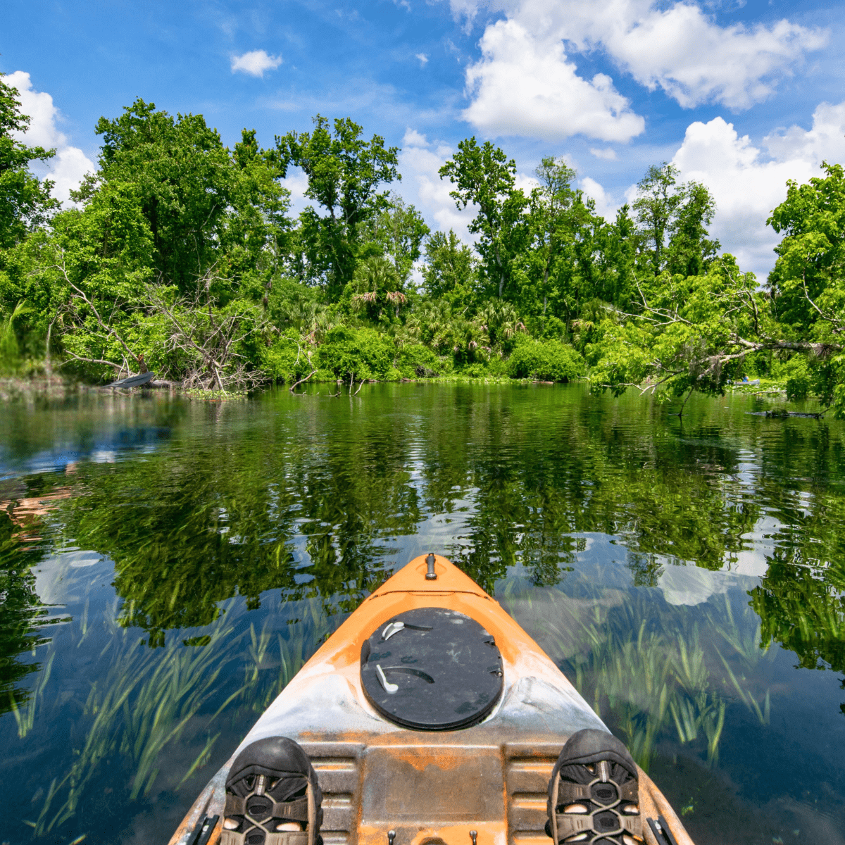 Cabin Trip from Tallahassee Kayak Ocala National Forest