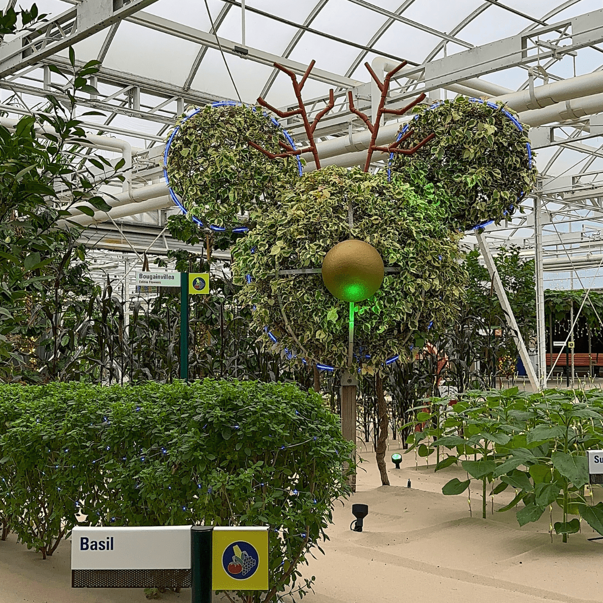 EPCOT Festival of the Holidays Living with the Land Glimmering Greenhouses