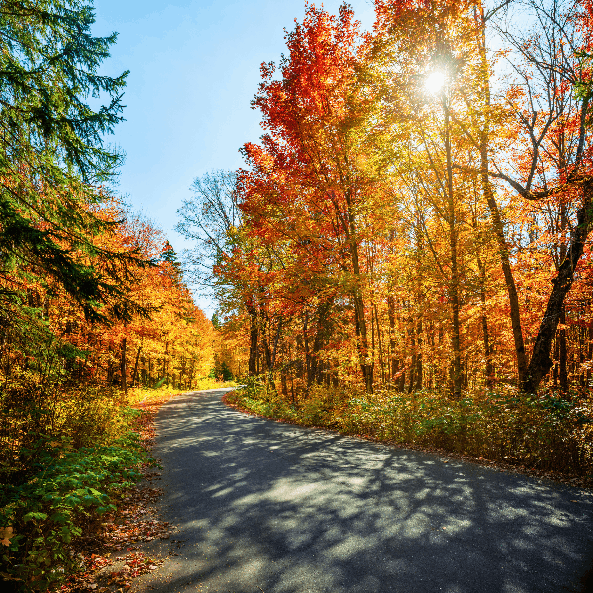 Cabin Trip Packing List