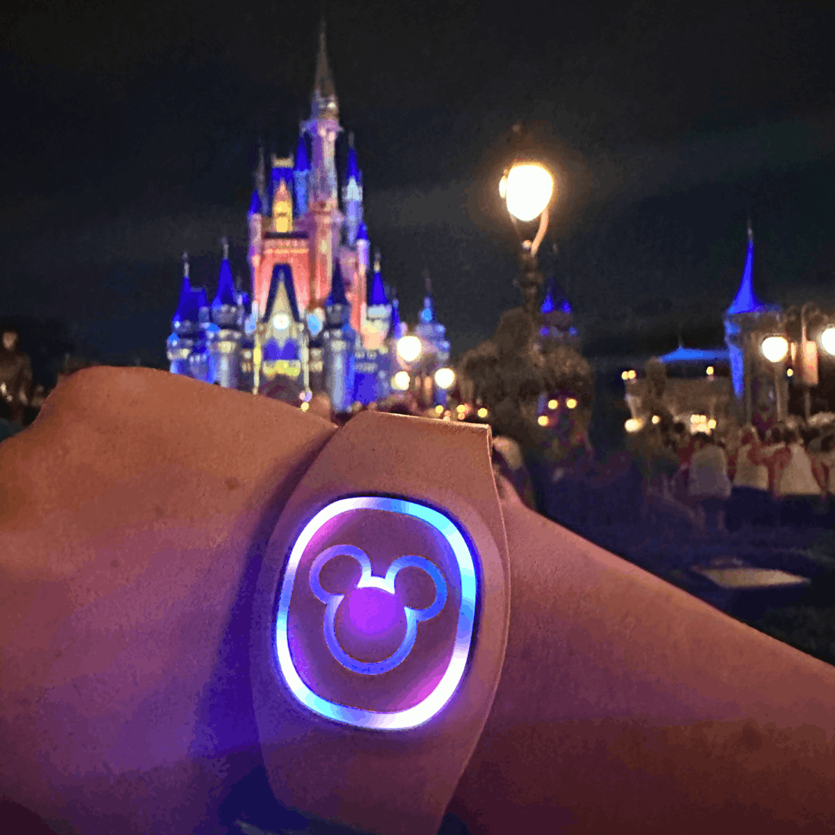 Nighttime shows at Disney