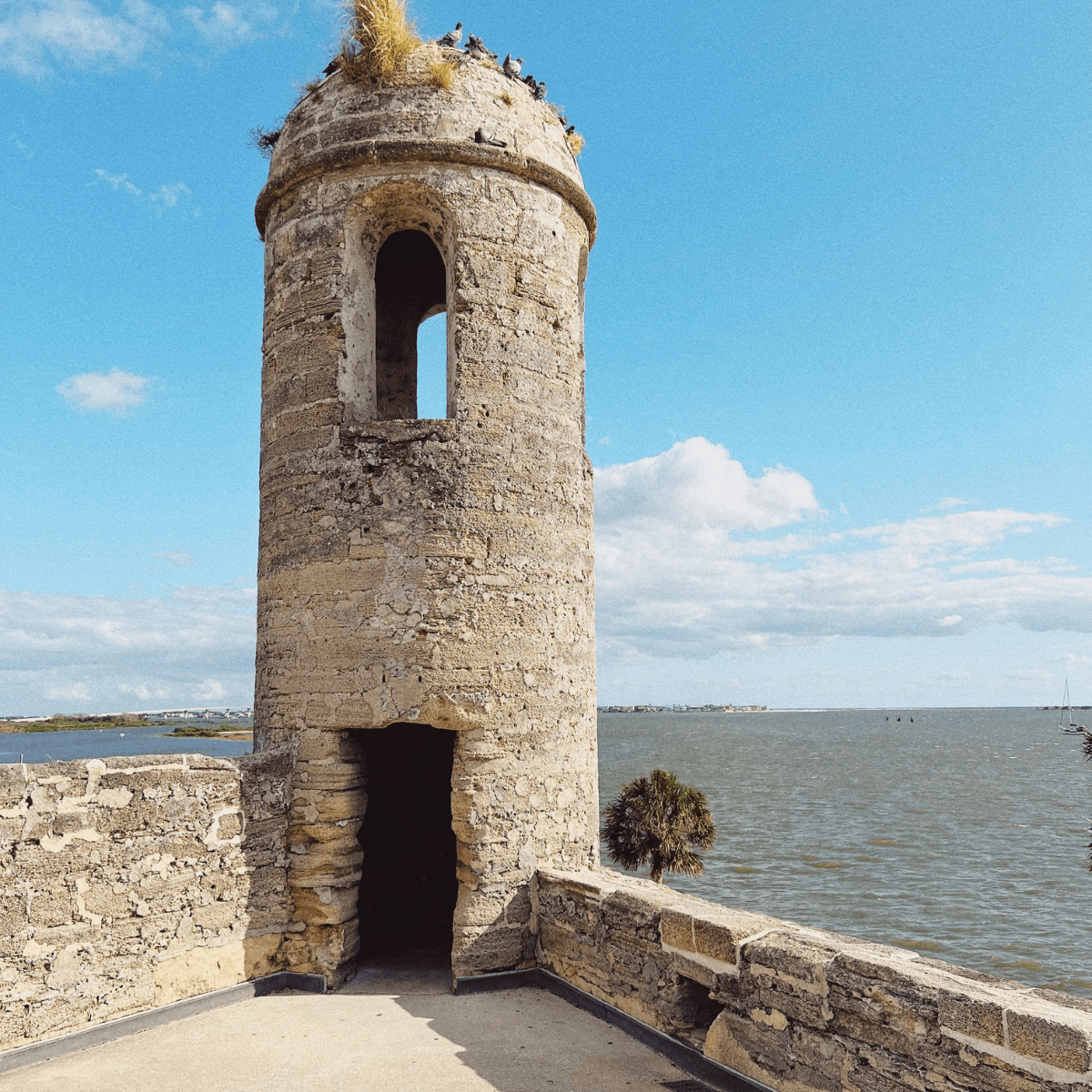 Places to Visit in Florida During Winter St Augustine