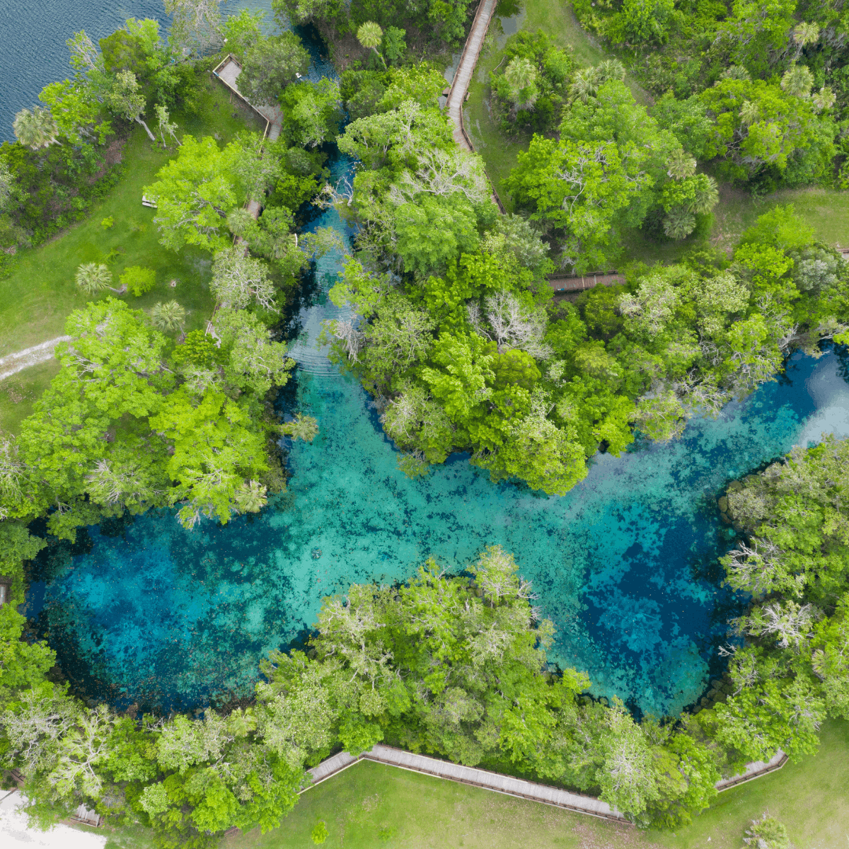Places to Visit in Florida During Winter Crystal River Three Sisters Springs