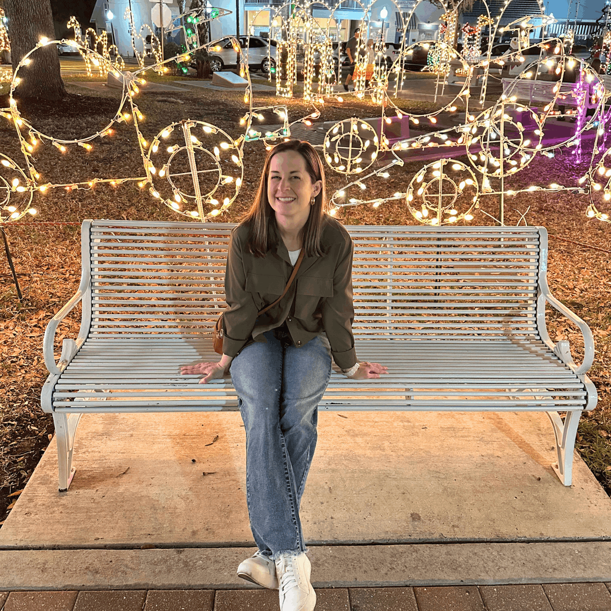 Places to Visit in Florida During Winter Downtown Sebring Carousel of Lights