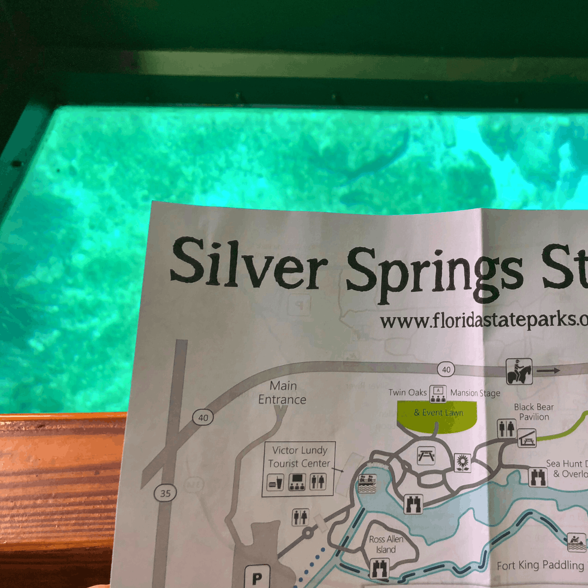 Places to Visit in Florida During Winter Ocala Silver Springs State Park