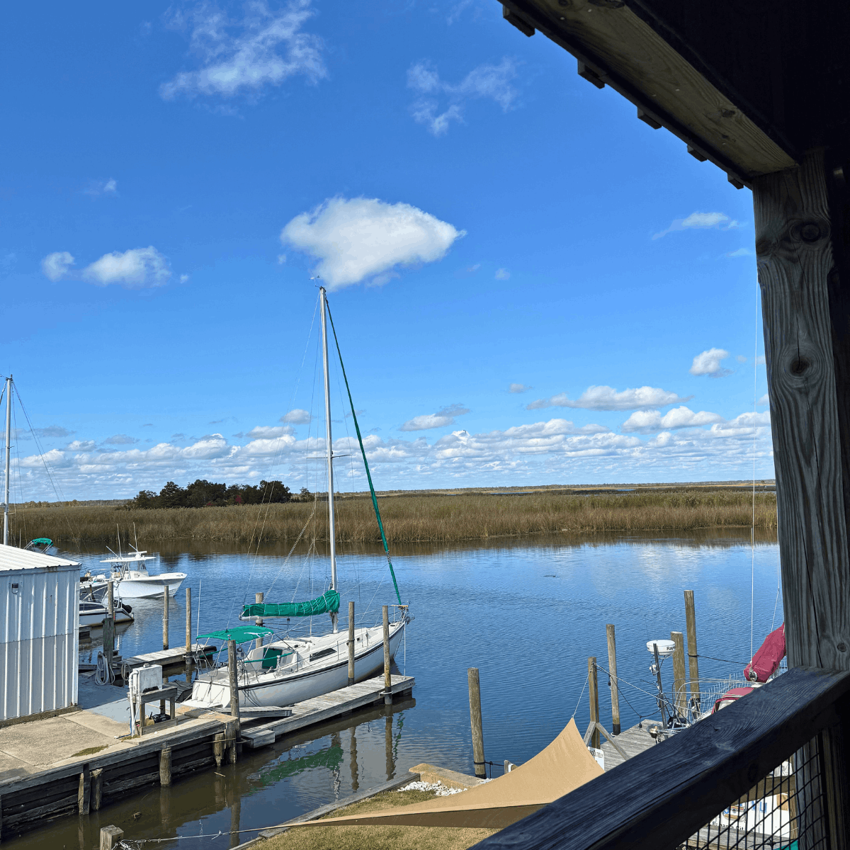 Places to Visit in Florida During Winter Apalachicola