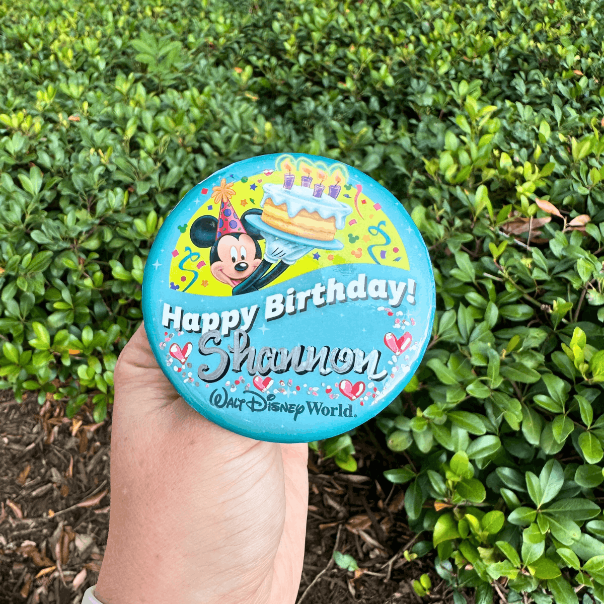 Celebrating at Disney World