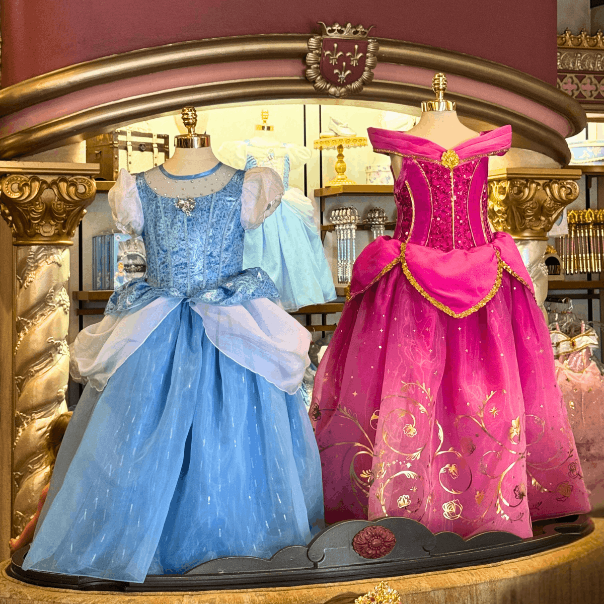 Celebrating at Disney World 