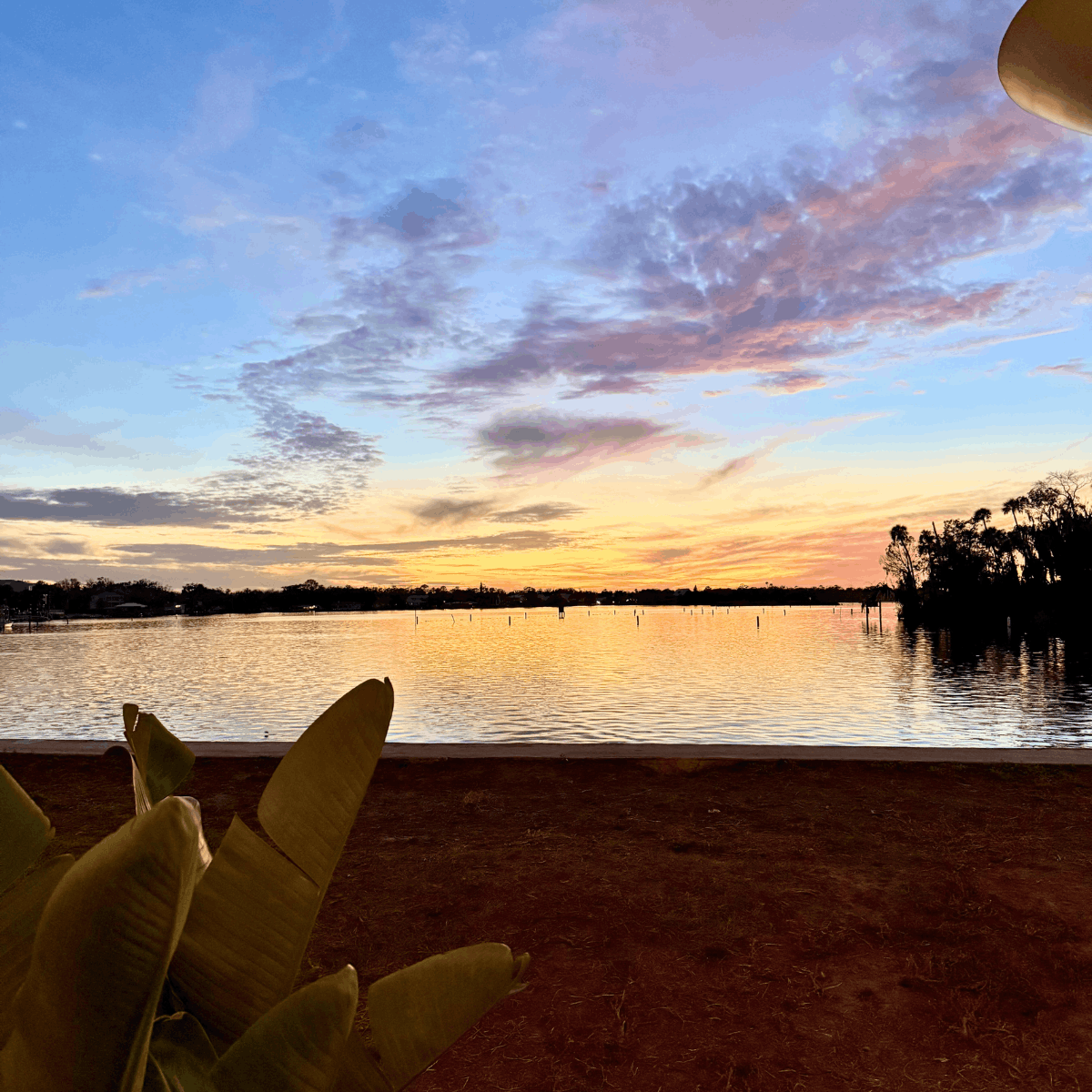 Crystal River Restaurants 