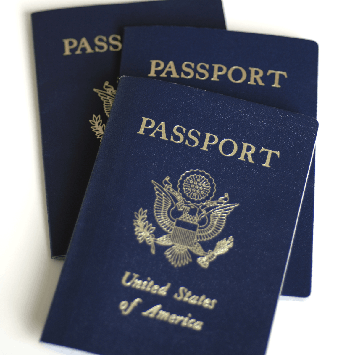 Disney Cruise Line check in online