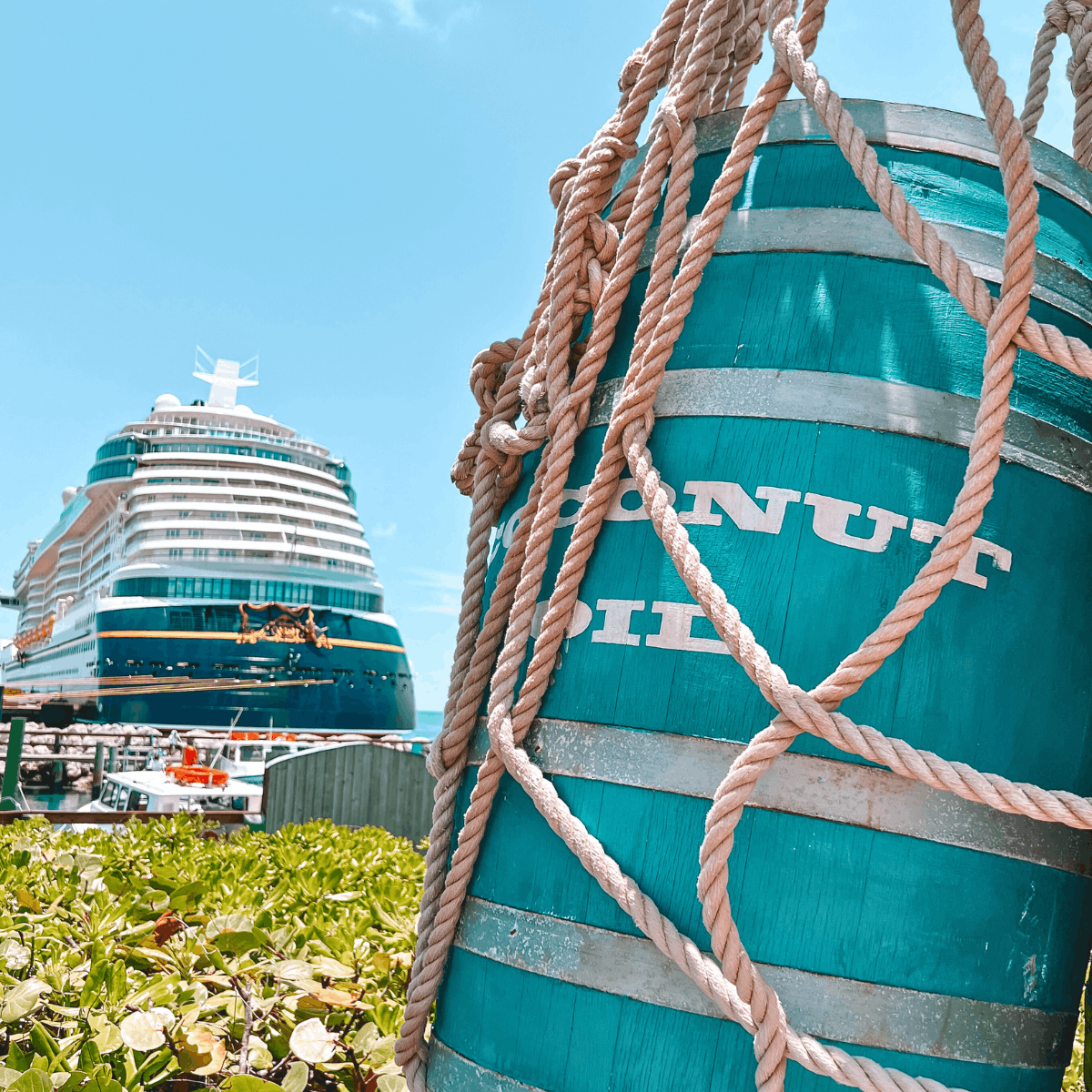 Disney Cruise Line Check In