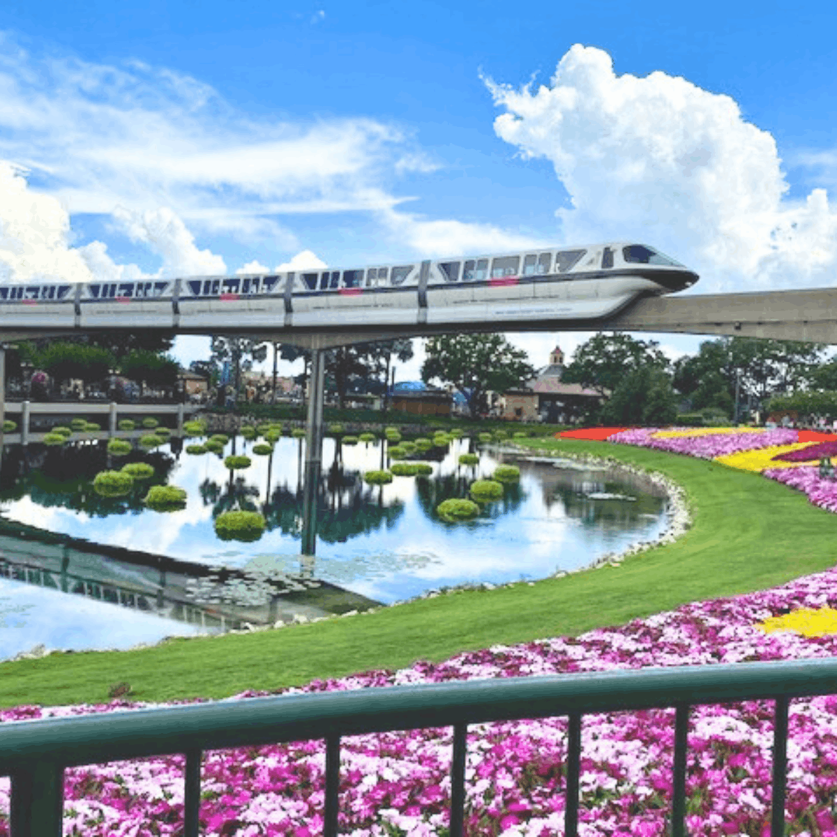 Disney Transportation Tips 