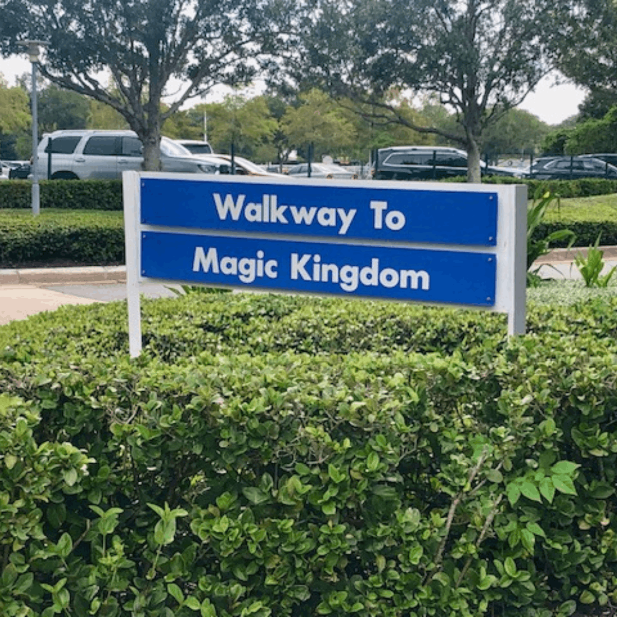 Disney Transportation Tips 