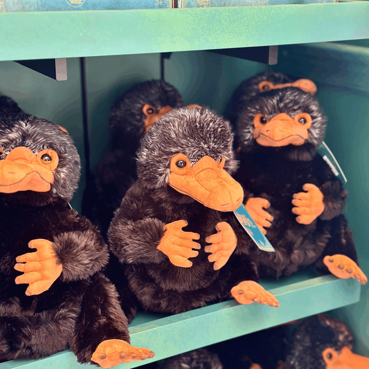 Ministry of Magic Epic Universe 