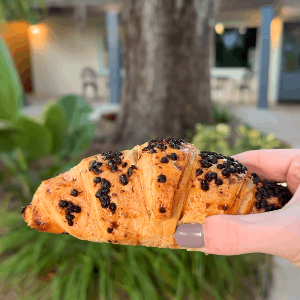 Retreat at Crystal Manatee