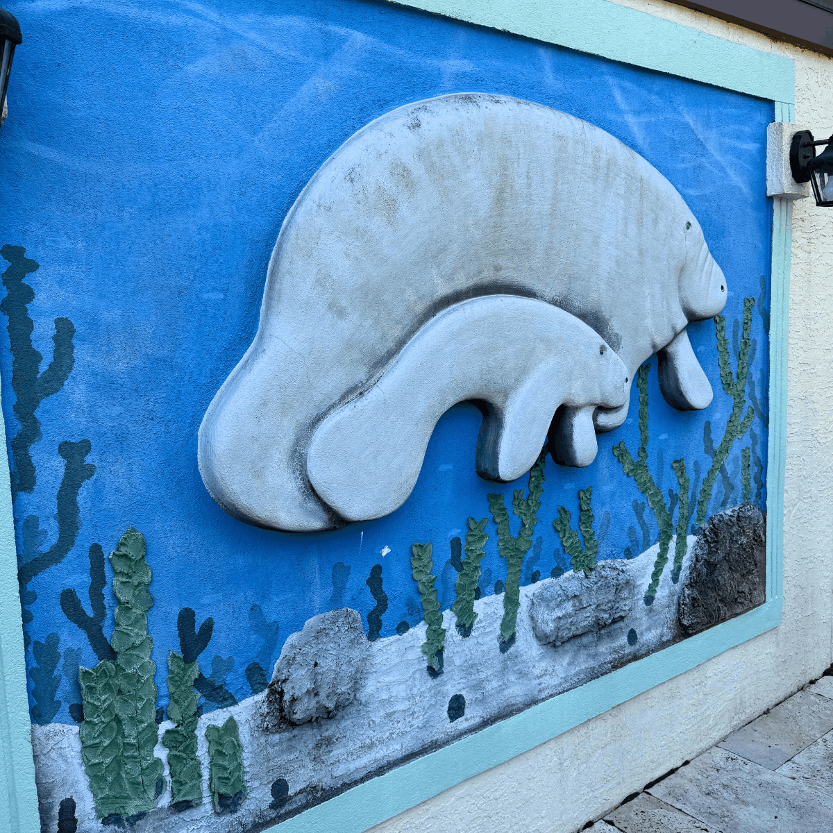 Retreat at Crystal Manatee