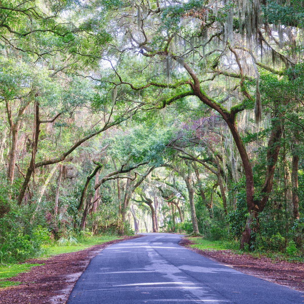 Southeast Weekend Getaway 