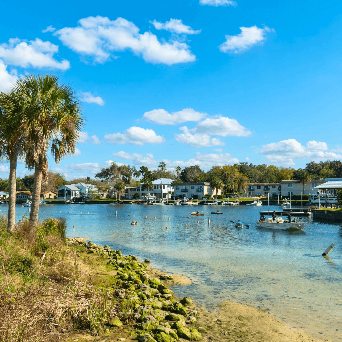 Things To Do in Crystal River