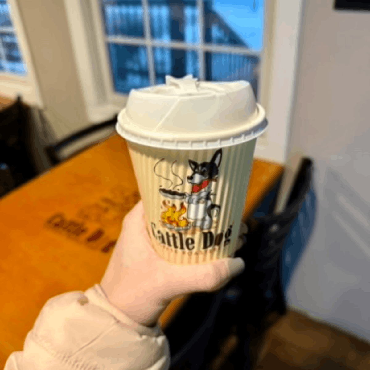 Things To Do in Crystal River