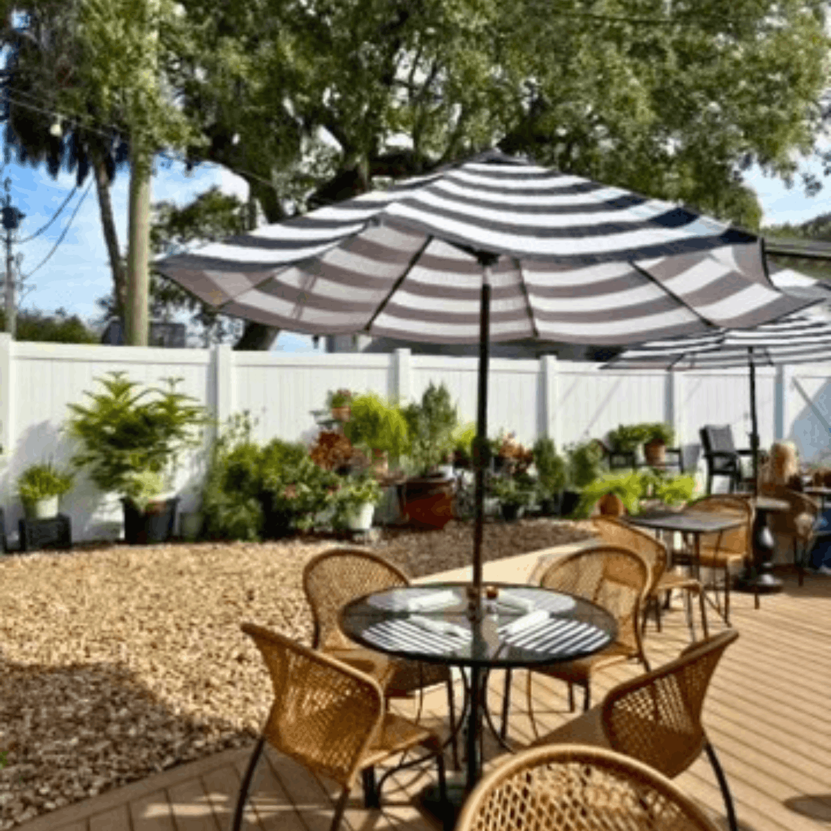 Things To Do in Crystal River