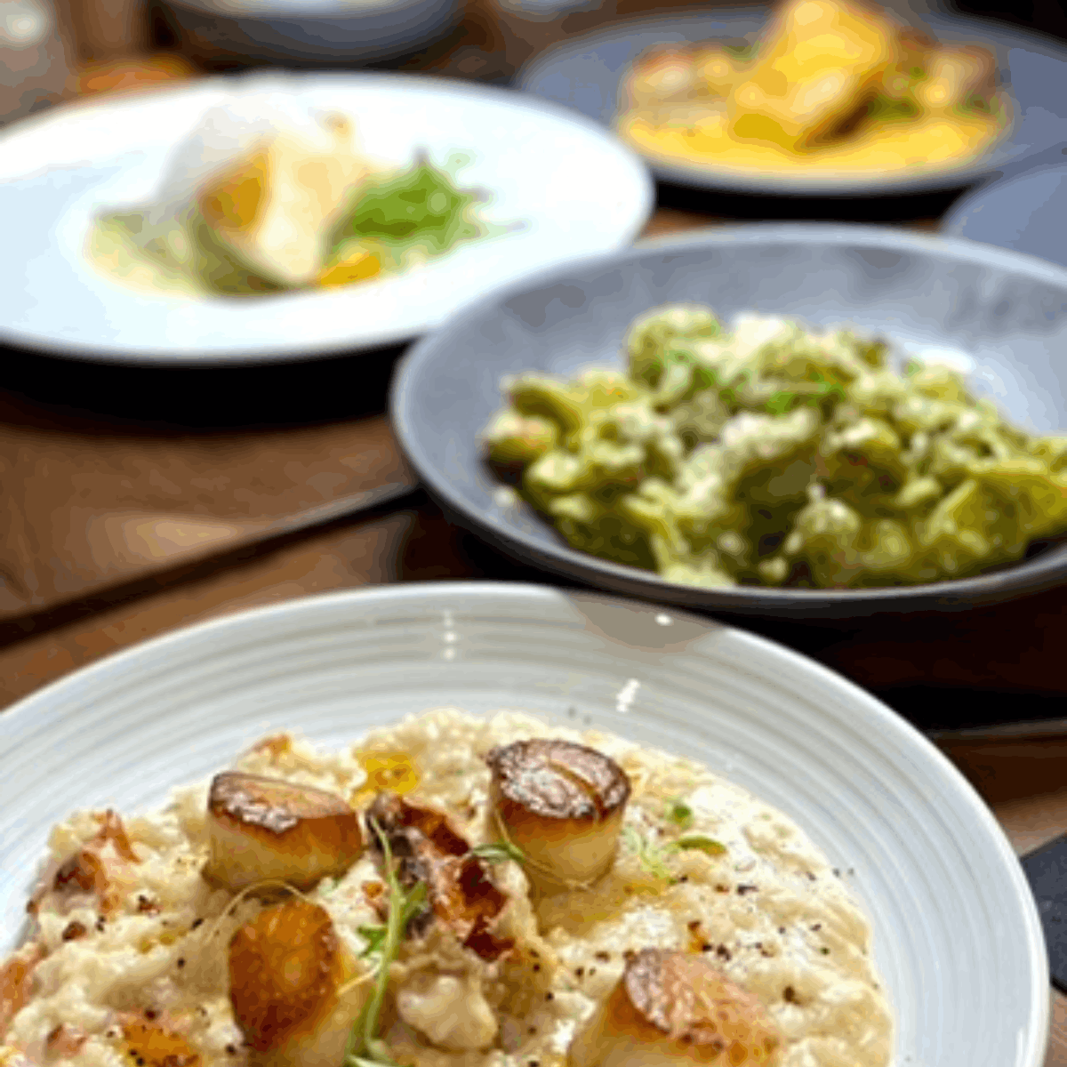 Things To Do in Crystal River