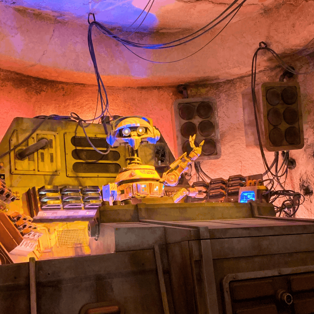 Oga's Cantina 