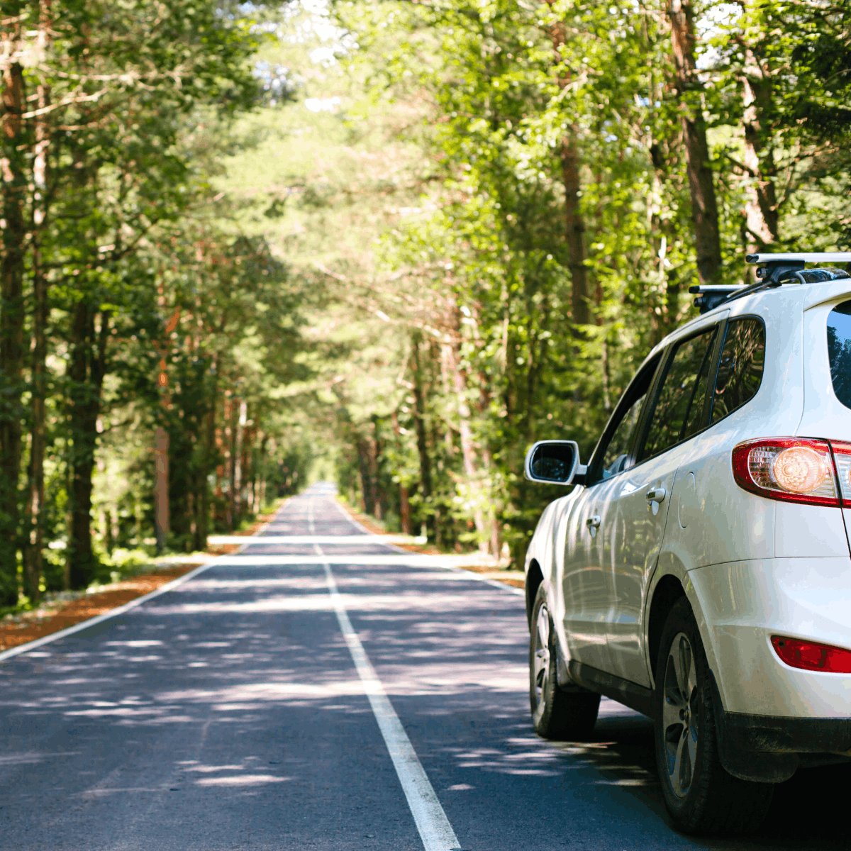 Road Trip Essentials