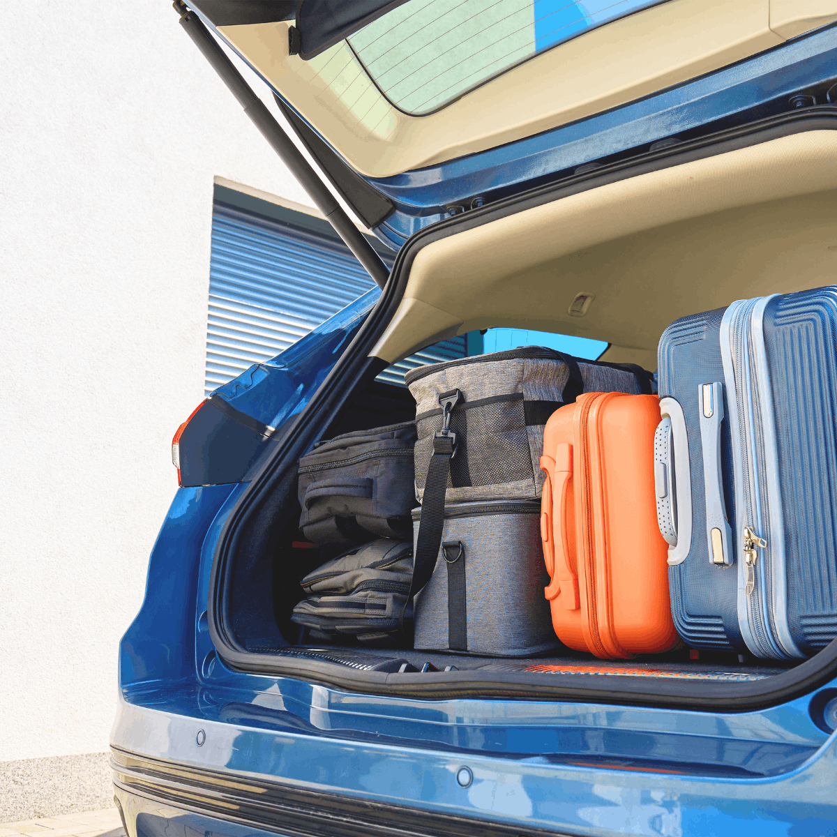 Road Trip Essentials 