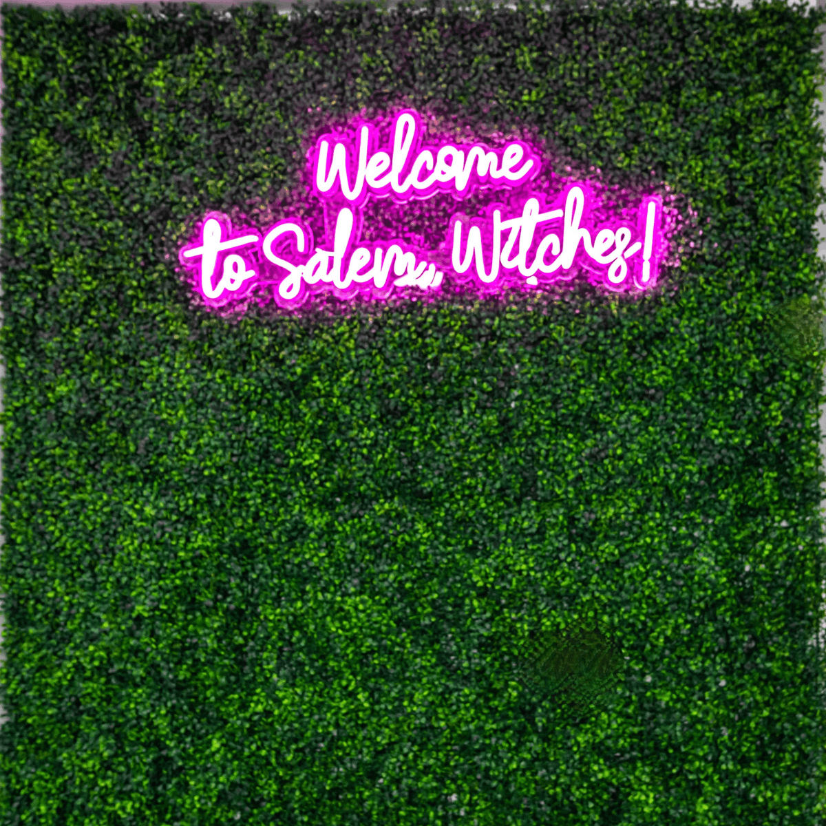 Things to Do in Salem in October