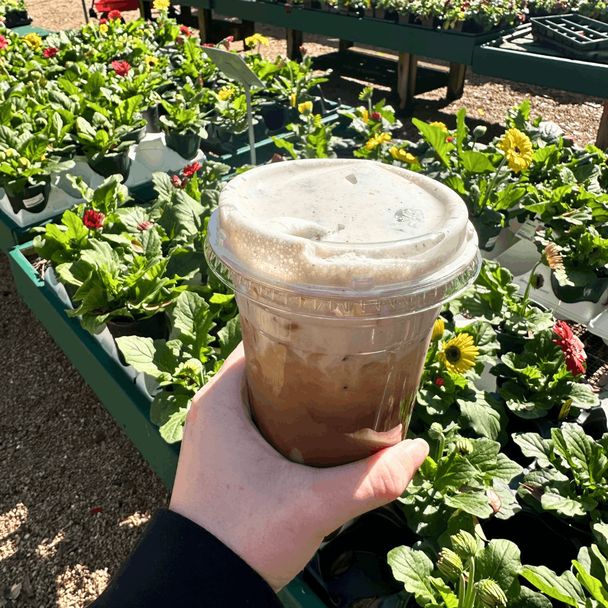 Tallahassee Nurseries 