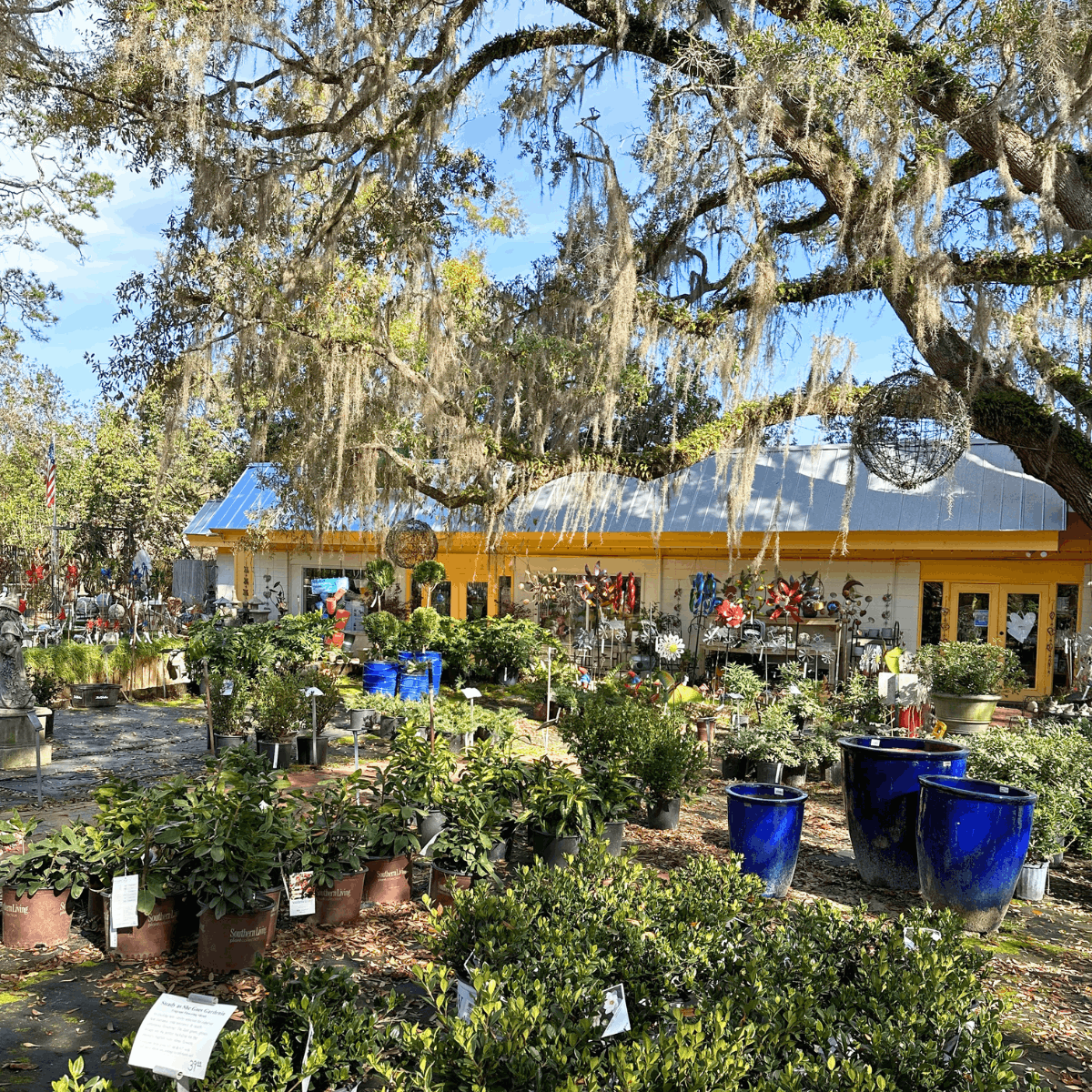 Tallahassee Nurseries