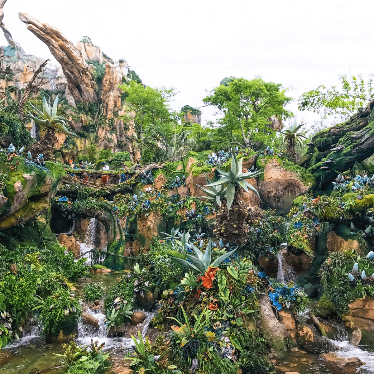 Disney World Food Guide