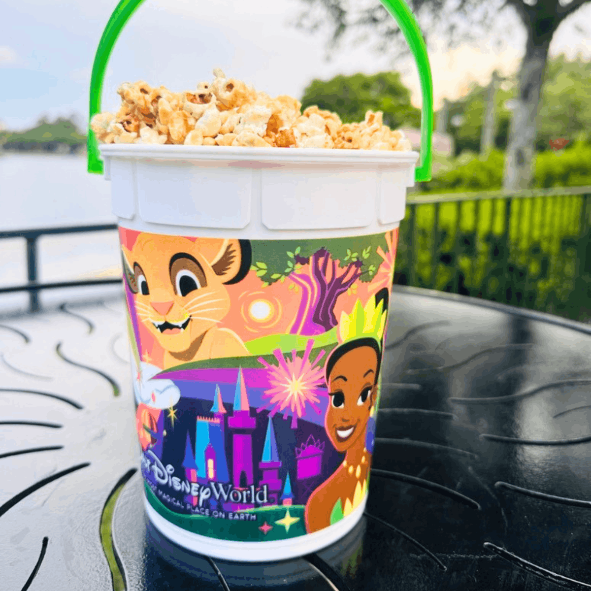 Disney World Food Guide