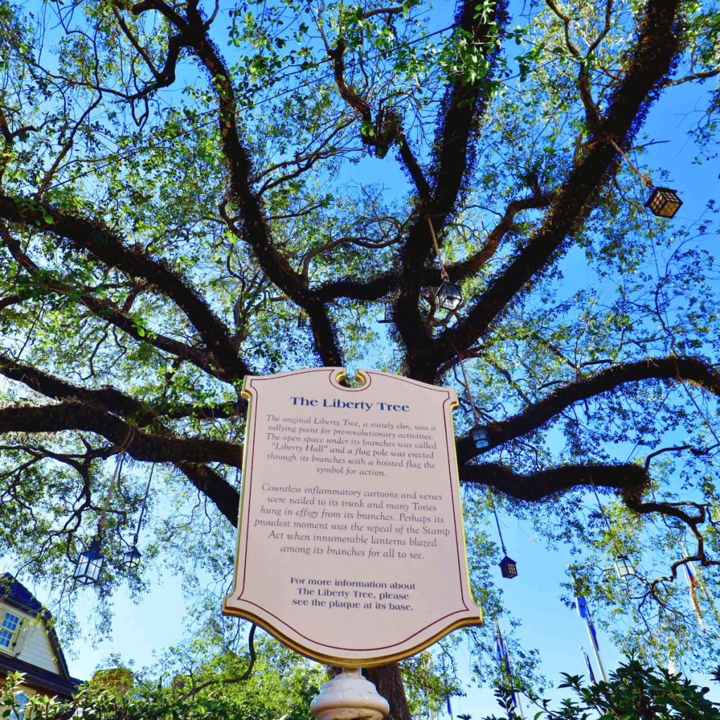 Magic Kingdom Secrets