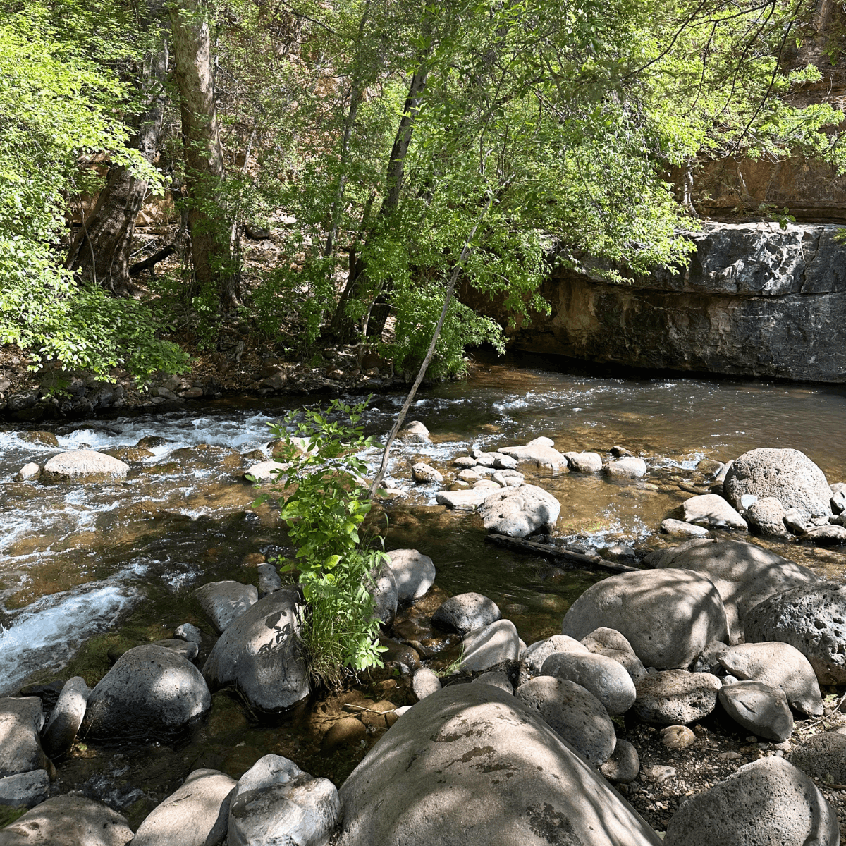 Sedona Travel Guide 