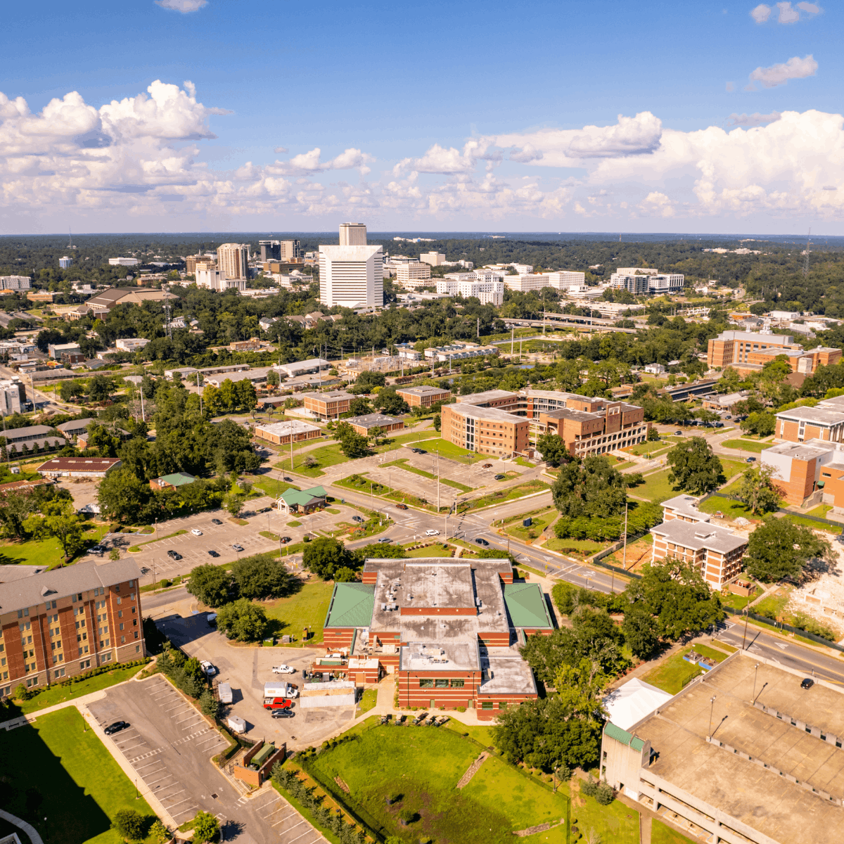 Summer Bucket List Ideas in Tallahassee