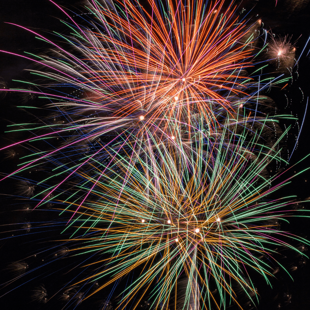 Summer Bucket List Ideas in Tallahassee