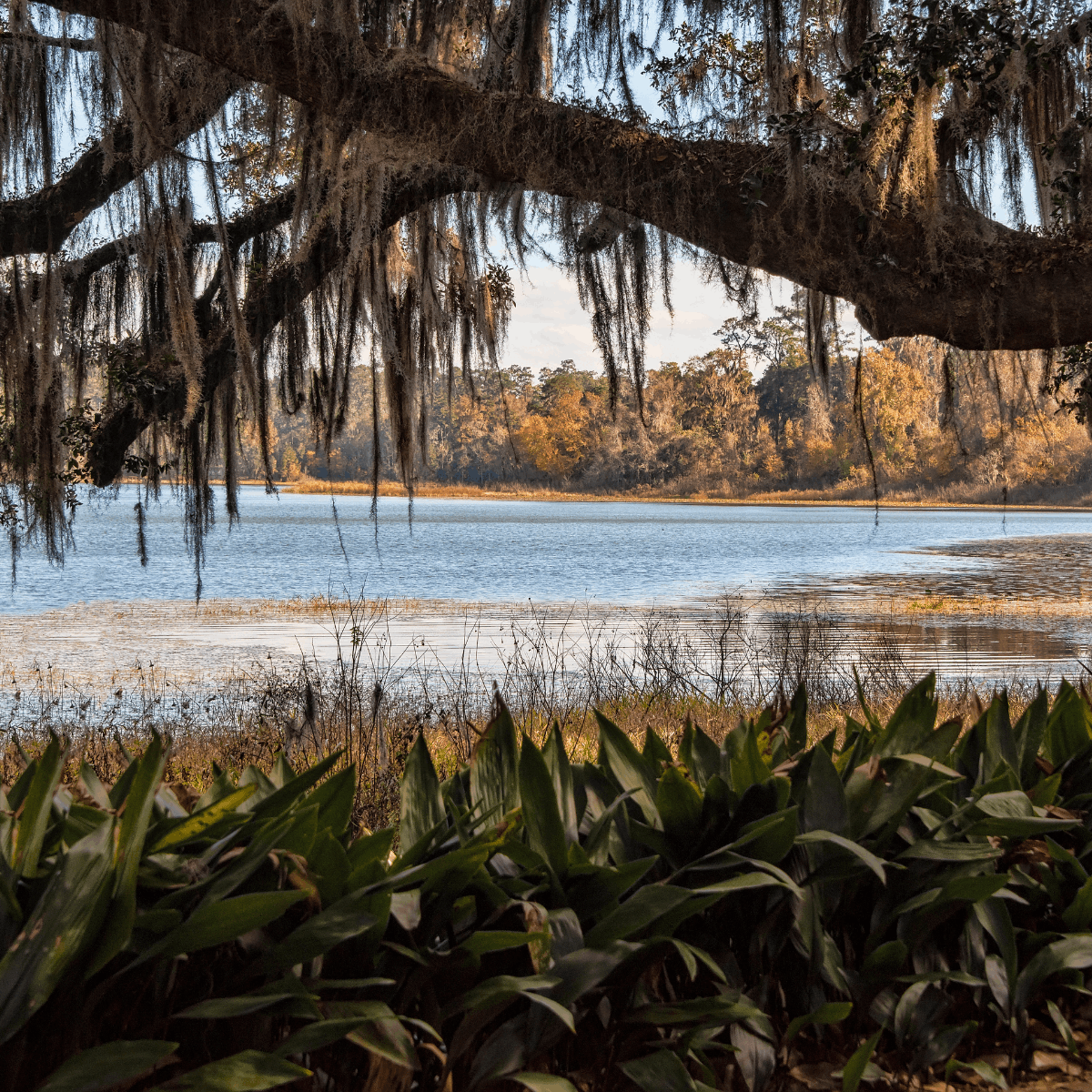 Summer Bucket List Ideas in Tallahassee