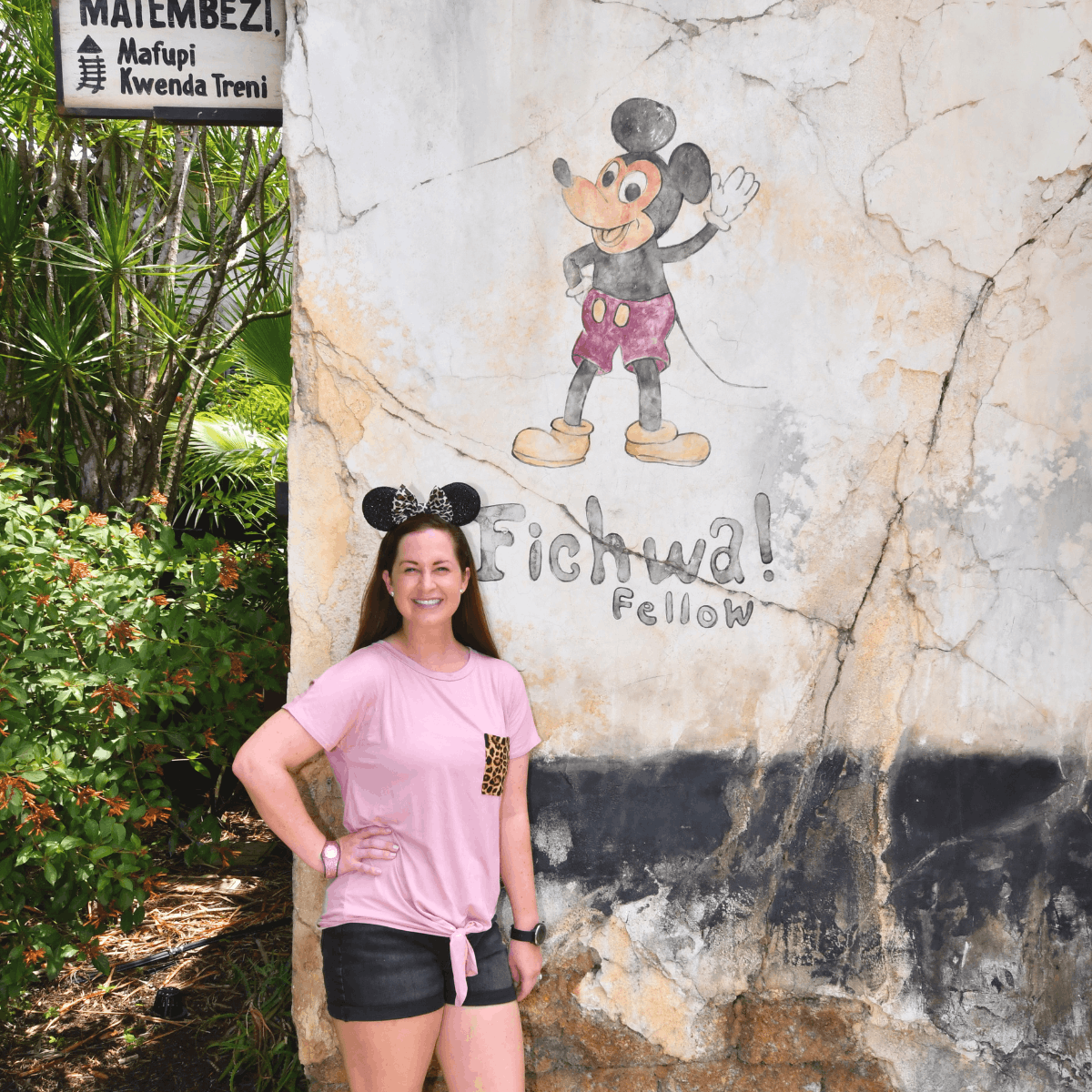 Animal Kingdom Outfit Ideas