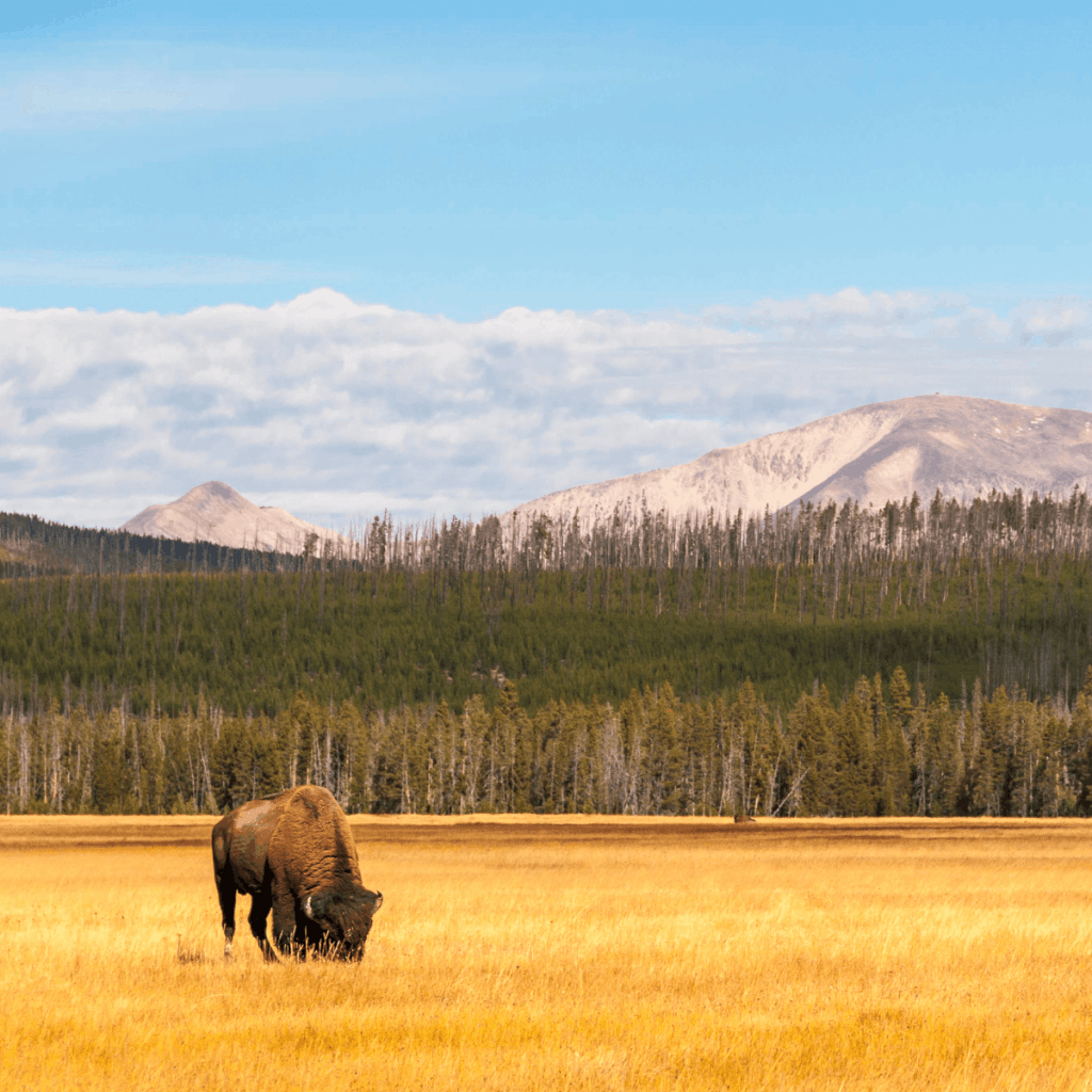 National Parks Packing List