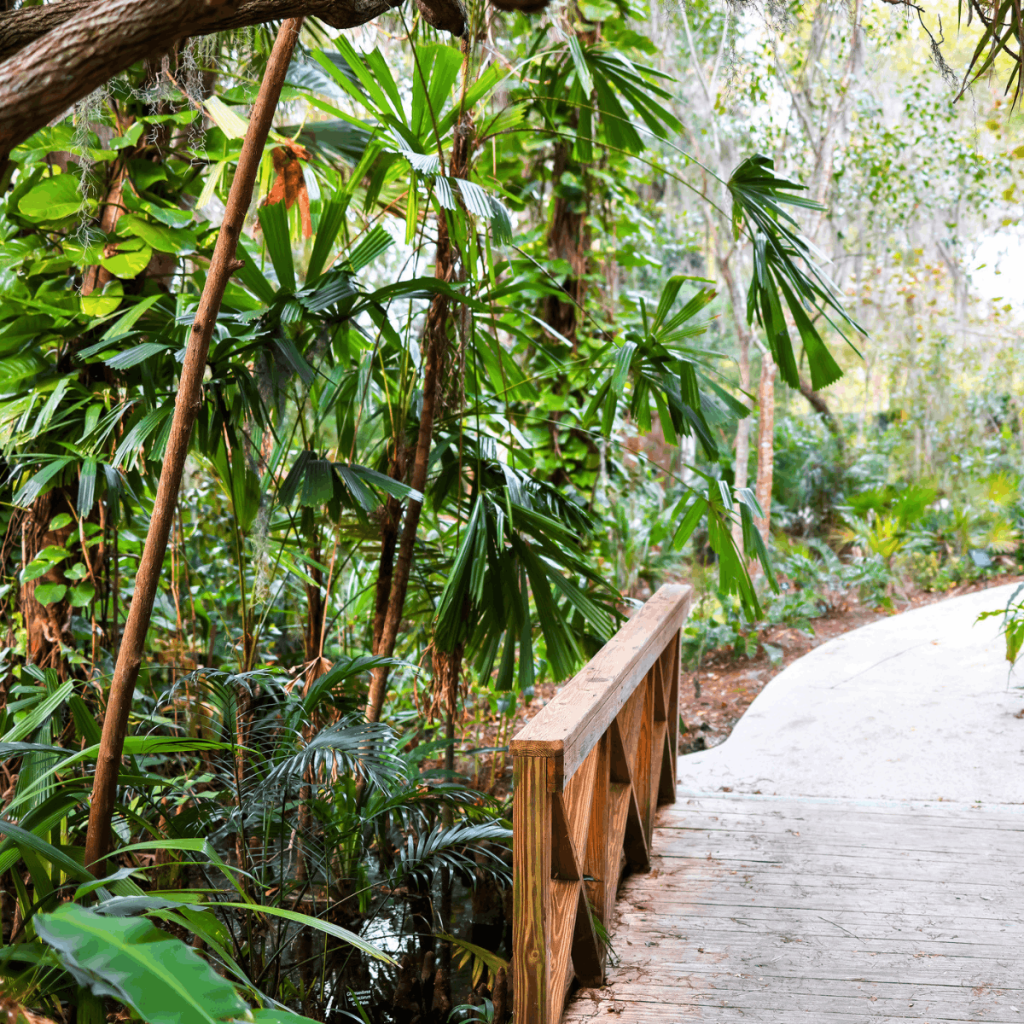 Things to Do in Orlando Besides Disney