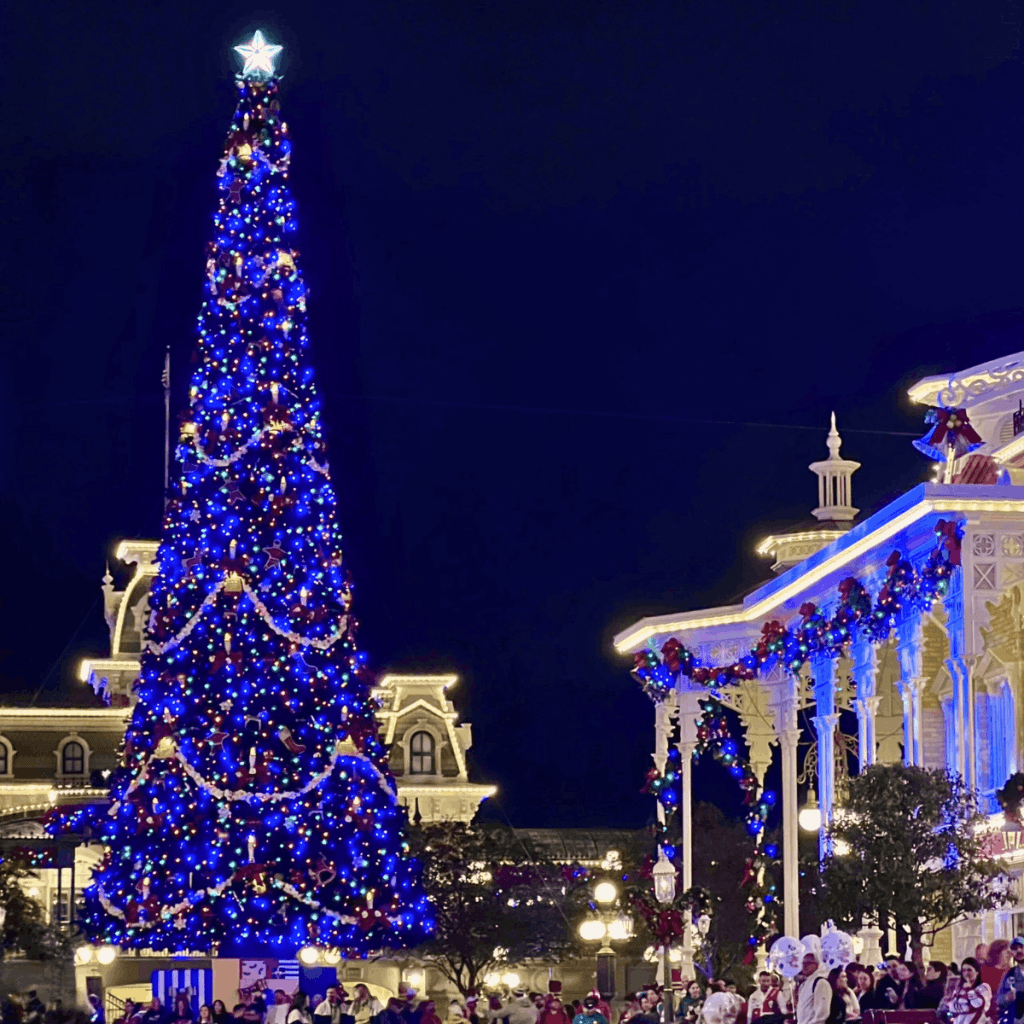 Jollywood Nights vs Mickey's Very Merry Christmas Party